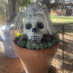 Halloween Succulent Arrangement 