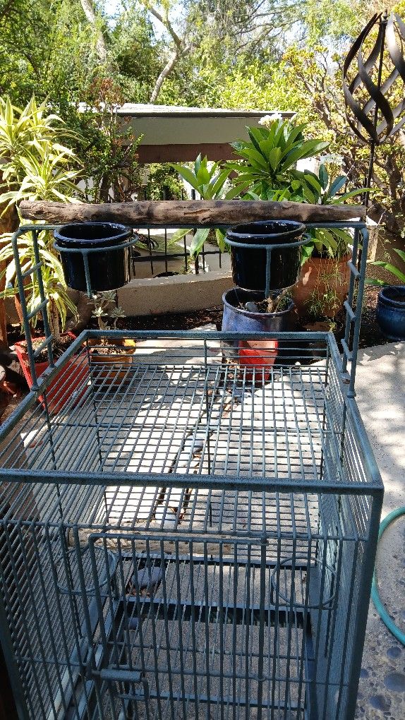 Bird Cage