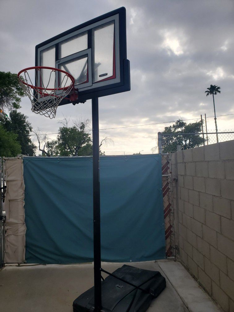 Lifetime Adjustable Basketball Hoop 