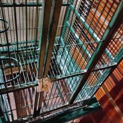 Amazing Bird Cage/Decorative Piece 