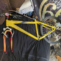 Specialized Hard rock Frame 