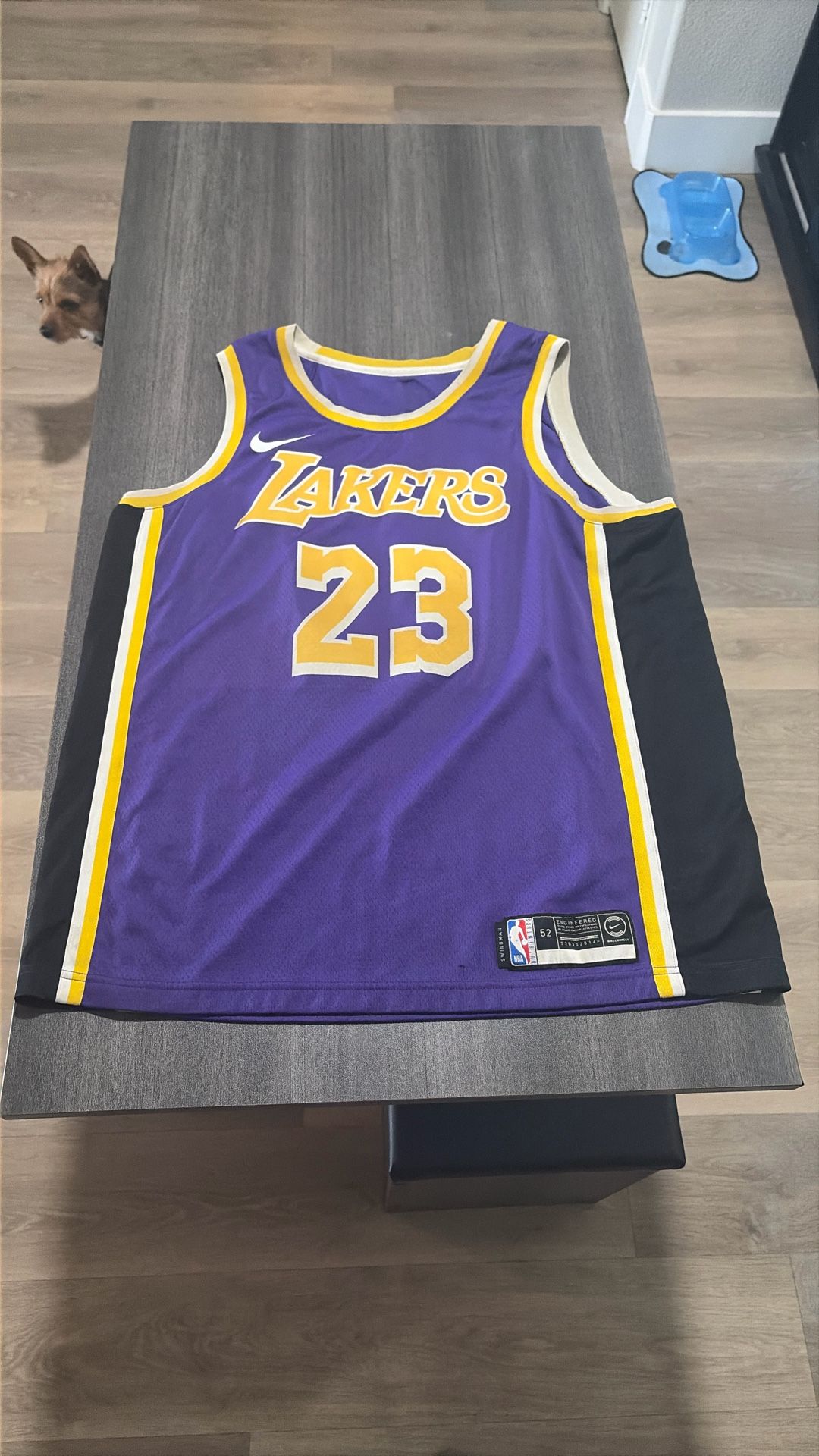 Lebron Laker jersey 