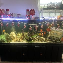 150 Gallon Large Monster Aquarium Fish Turtle Tank Terrarium