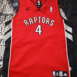 Raptors Bosh Jersey 