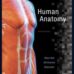 Human Anatomy 8th editiony Marieb Wilhelm Mallatt