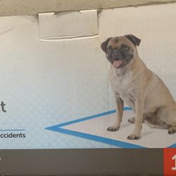 Puppy Pads Unopened Package