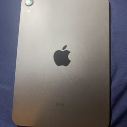 IPAD 6 Mini, With Case, And Apple Pencil, And Screen Protector