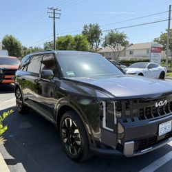Tint For Sale 