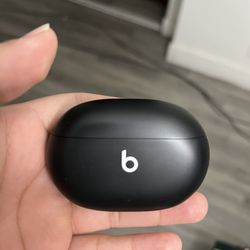 Beats By Dre Beats Studio Earbuds