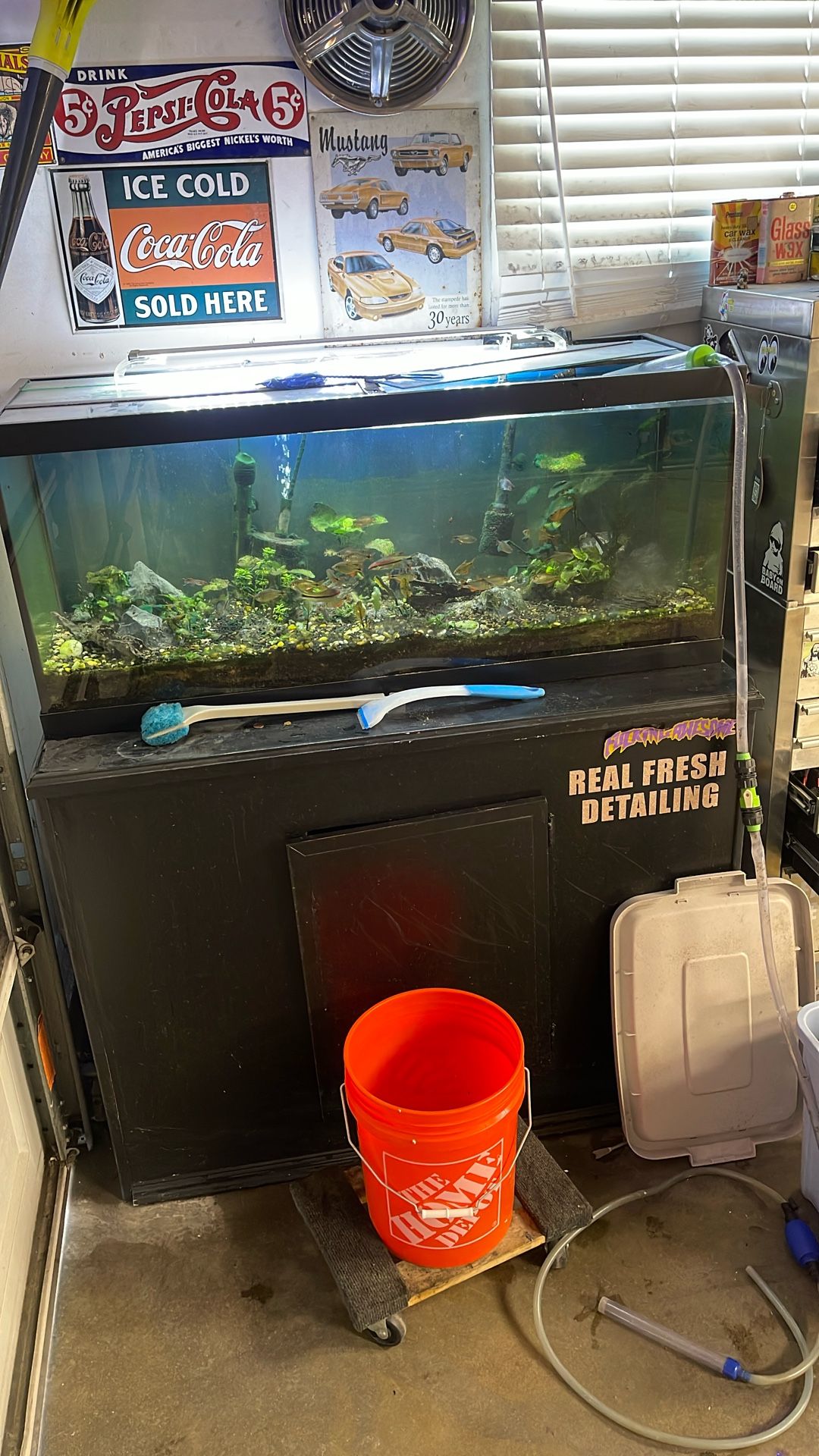 Fish Tank 75g