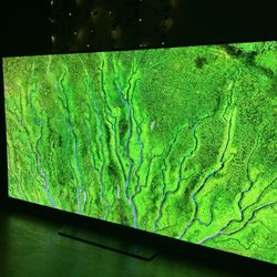 LG OLED 
