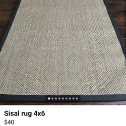 Sisal Rug 4x6 