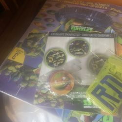 Turtle Decorated Party 