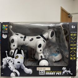RC Dog