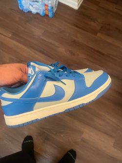 Nike air dunks size 12 new