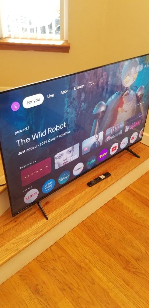 55 INCHES L C D TV WORKS EXCELLENT , REMODE CONTROL ,