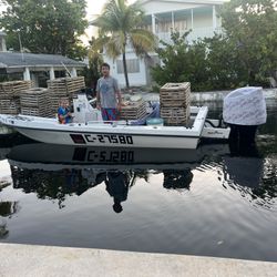 Spiny Lobster Tags With Dusky Boat