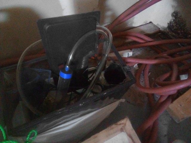 5 Gallon Fish Tank For $10