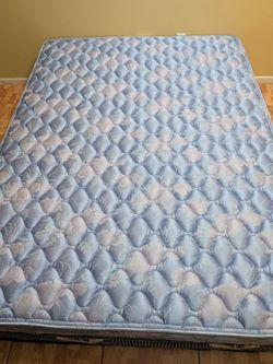 International Bedding Company 10 inch Que,en matt,ress, medium firm and box spri,ng. Delivery available.