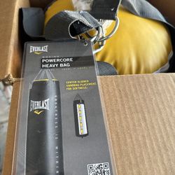 Everlast Punching Bag