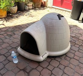 Dog Igloo