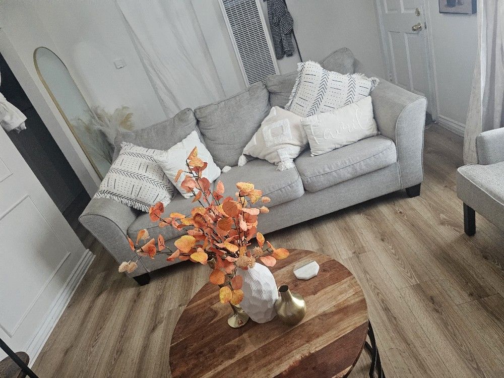 LIGHT Gray SOFA
