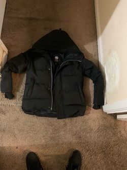 Canada goose small