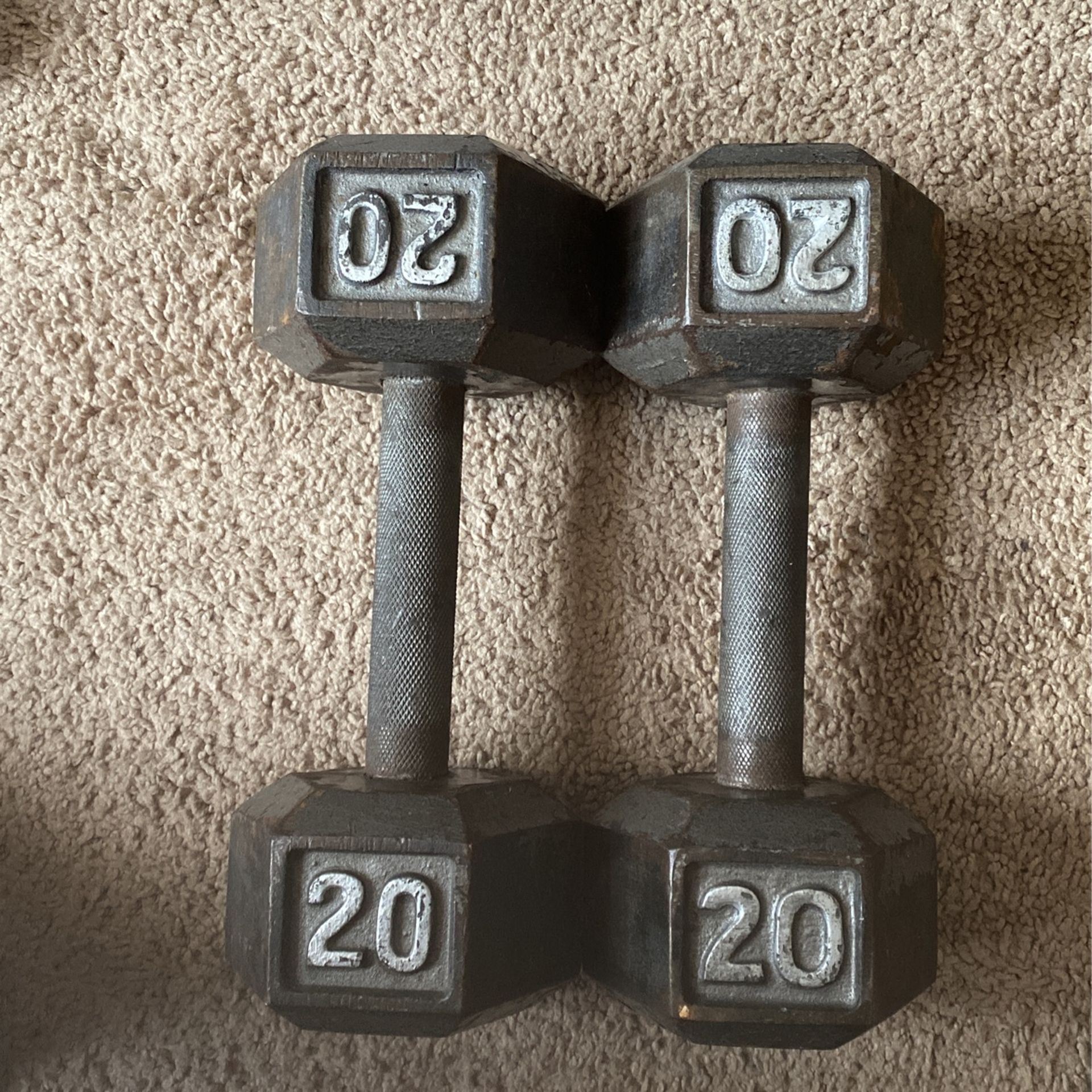 Dumbbell 20lbs Weight