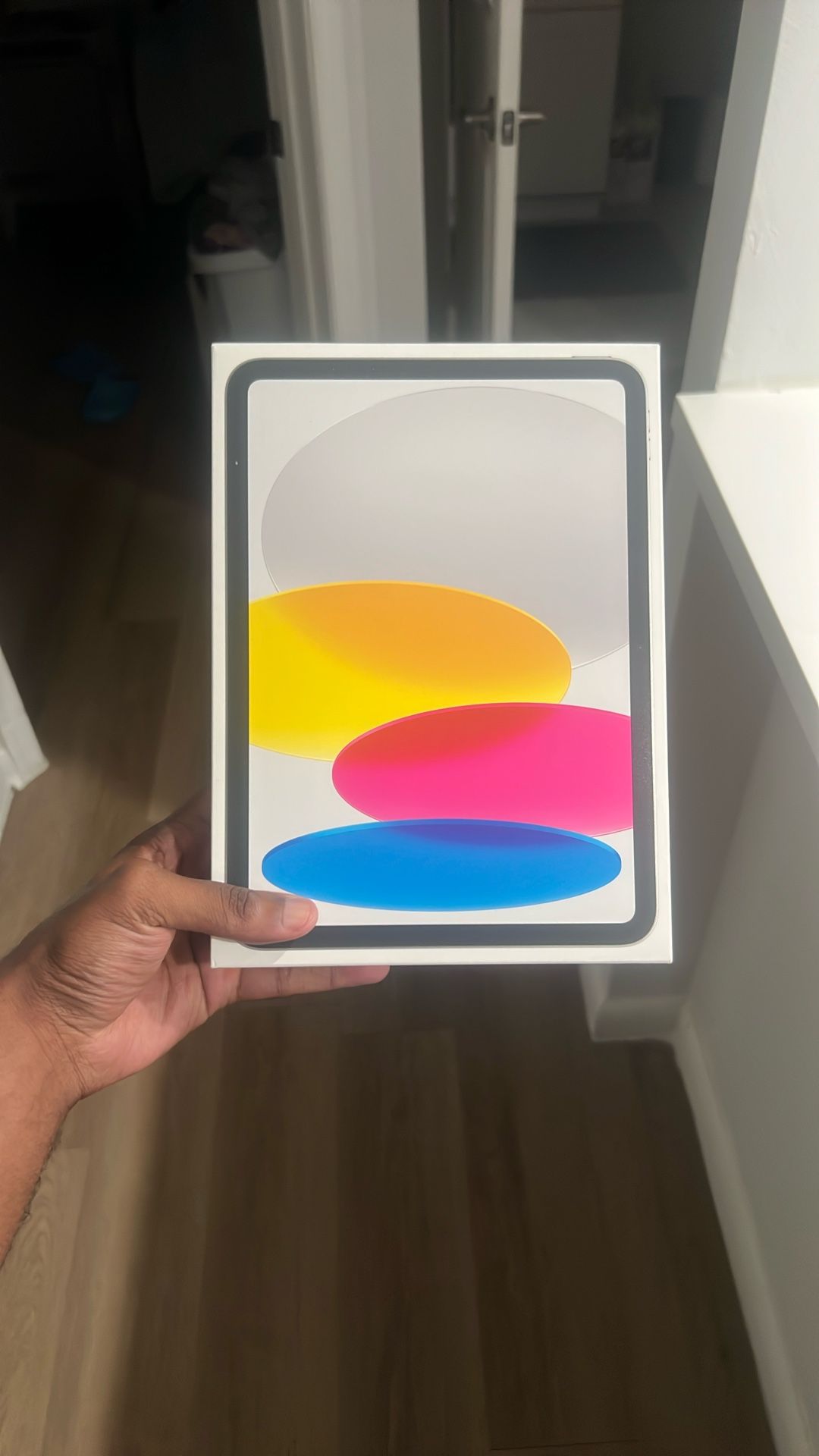 IPAD 256 GB 