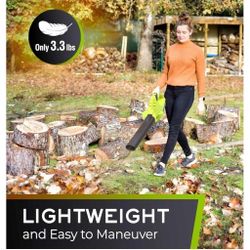 Leaf Blower