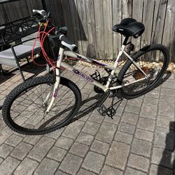 Equalizer Rand 18 speed 26” mountain bike