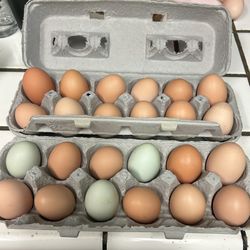 Fresh Eggs