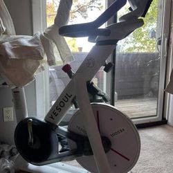 Yesoul Exercise Bike  