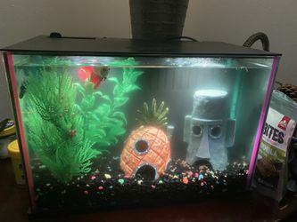 FISH TANK 3GALLON WITH EVERYTHING INCLUDED