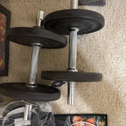 20 lb dumbbells 