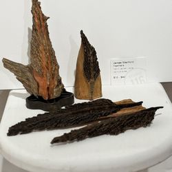 Hand crafted one of a kind wooden feathers carved from the heart of pine