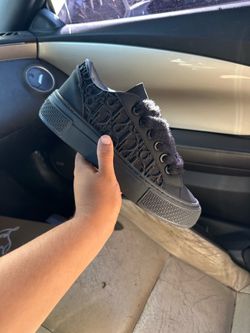 Dior b33