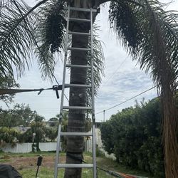 Foldable Ladder 