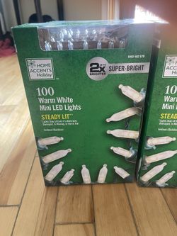 Home Accents Holiday Christmas Lights