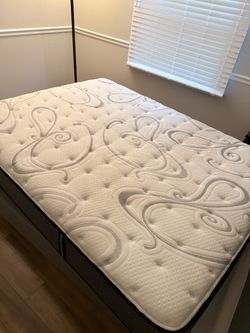 Sealy Performance Queen Mattress — Firm Support, Excellent Condition