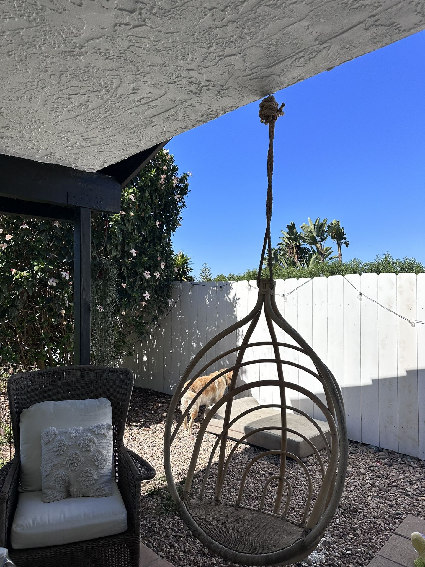Hanging Rattan Chair