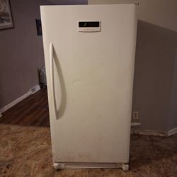 Stand Up Deep Freezer