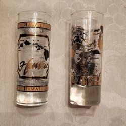 2 Tall Shotglasses From Hawaii 