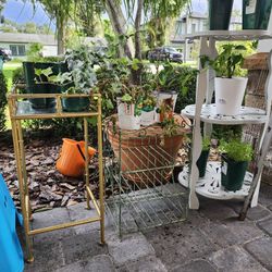 $20 Pick Any Two Plant Stands Plant Pedestals Planter Table Garden Front Porch Patio Balcony