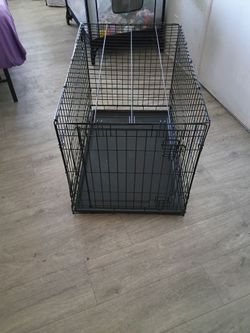 dog cage
