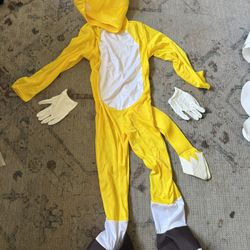 Sonic And Tales Halloween Costume