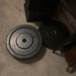 45lb Weights