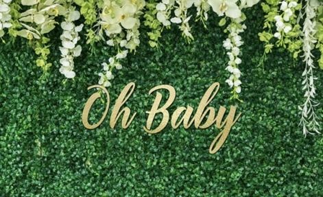 Backdrop - Oh Baby Shower 