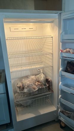 White Freezer
