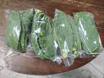 Nopales orgánicos